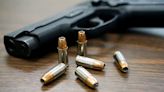 Proyecto de ley para regularizar la tenencia de armas de fuego
