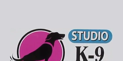 k9 studio dog salon