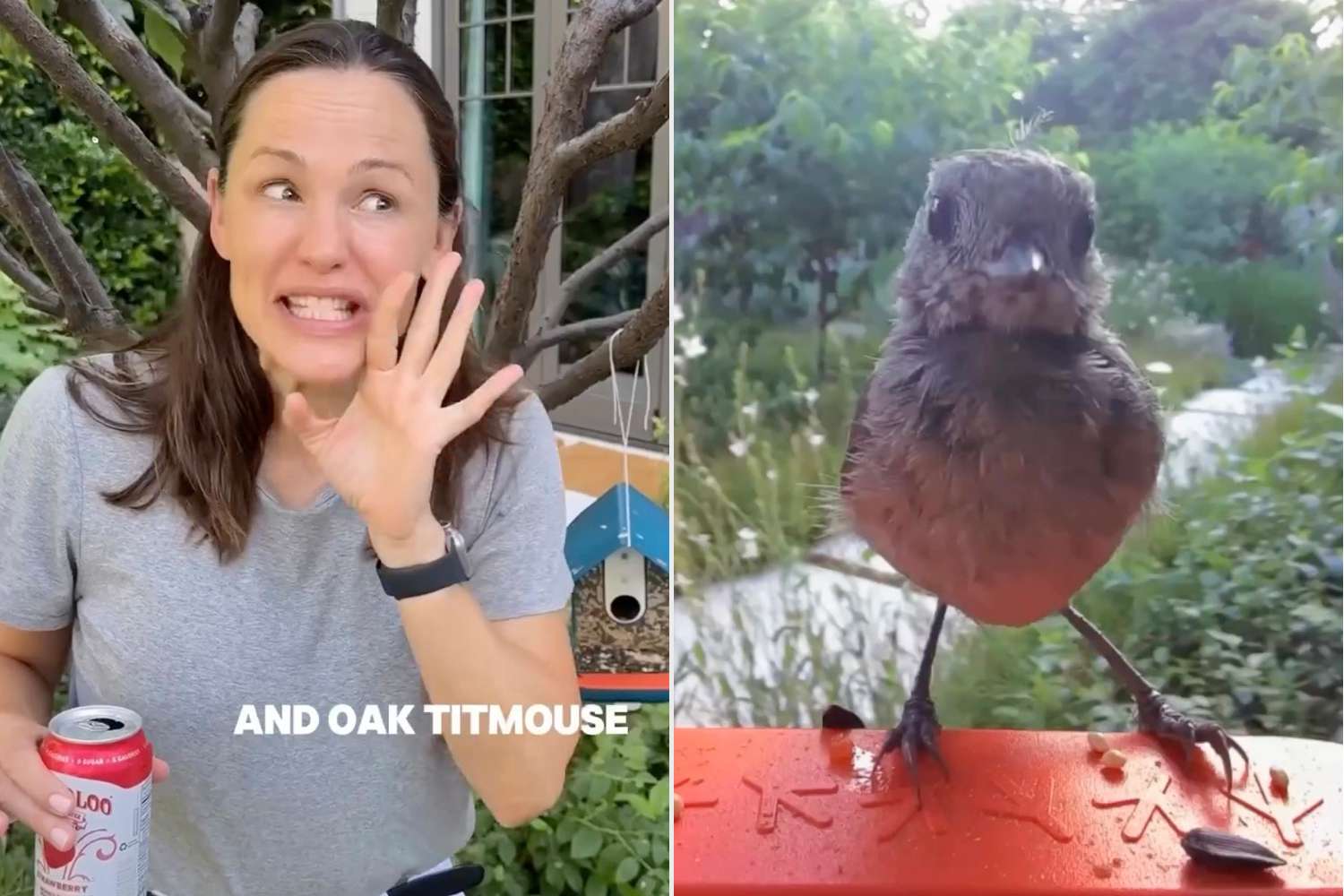 Jennifer Garner Jokingly Starts Bird ‘Modeling Agency’ After Becoming a Bird Watcher: ‘They’re Gorgeous'