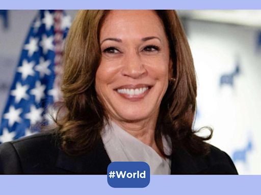 US Presidential Election 2024: Historian who predicted every election since 1984 picks Kamala Harris to win