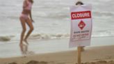 Southern California beach closed due to shark sighting - KYMA