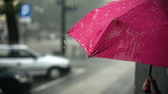 Week ends with rain chances in Metro Detroit: What to expect