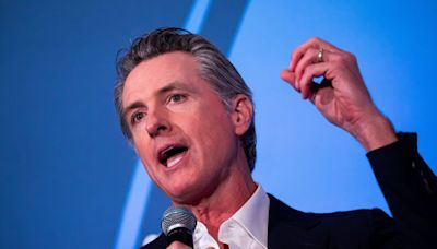 Gavin Newsom and Ron DeSantis Share a Common Cause