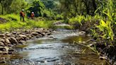 Restoration of West Fork stream in Roanoke complete, project success considered milestone