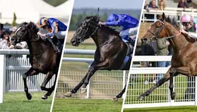 A glorious King George: assessing the key contenders for Saturday's mouthwatering Ascot Group 1