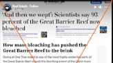 Climate skeptic misleads on severity of Great Barrier Reef bleaching