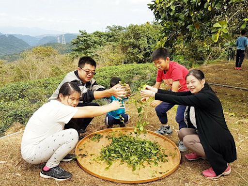 中秋來認識豆腐、茶鄉 深坑、坪林分館推親子DIY體驗 - 自由藝文網