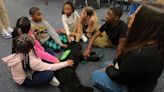 Meet Meeka, the student support dog at North Godwin Elementary