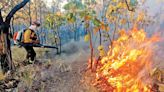 Van 26 muertos por ola de calor; hay 214 incendios; decesos se cuadruplican