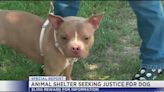 Clay County Animal Shelter looking for tips in abandoned dog incident