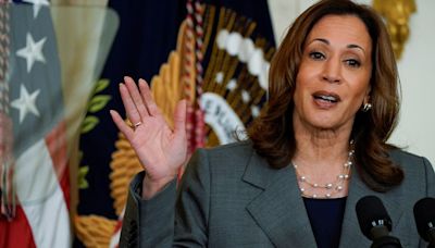 Kamala Harris’ economic plan bows to realities