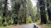 It's a dream when this Calif. national park road closes to cars