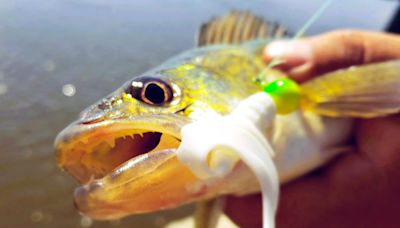 Fishing guides weigh in on strategies for the upcoming Minnesota walleye opener