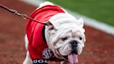 Uga X, the most decorated mascot in Georgia program history, has died