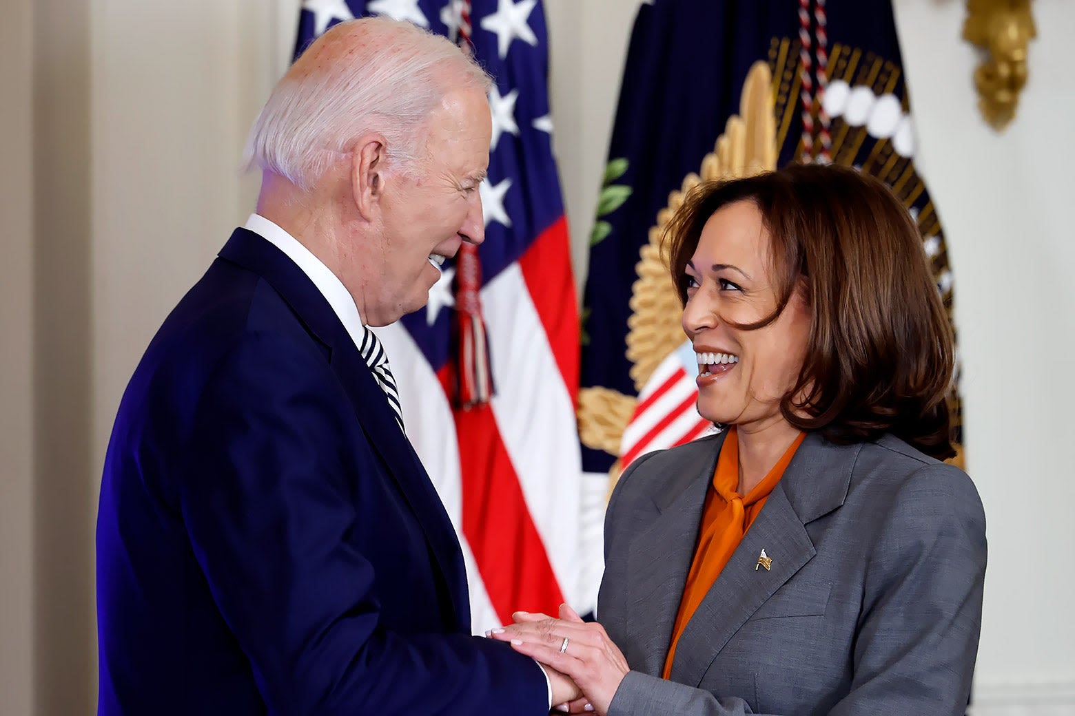 Kamala Harris Replacing Joe Biden Is Not Antidemocratic