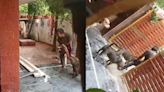 Terrifying Video: Unleashed Pit Bull Dogs Brutally Attack Delivery Man In Chhattisgarh's Raipur