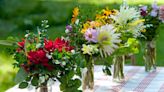 Grow the perfect late summer blooms to cut for your home