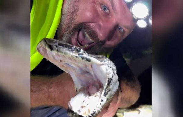 Florida python trapper captures 17-foot snake