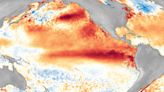 Advierten sobre las consecuencias del aumento de la temperatura del océano a nivel global
