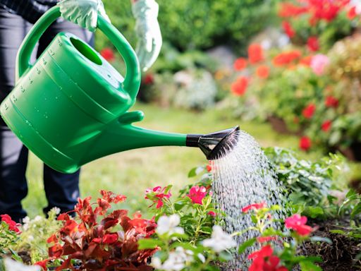 Tips for keeping plants watered on holiday & you won't have to ask neighbours