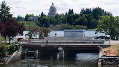 Squaxin tribe gets federal grant to remove 5th Avenue Dam. Nisqually project funded too