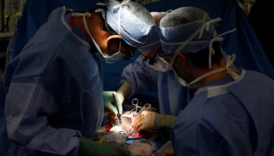 Florida surgeon removes man’s liver instead of his spleen, causing his death