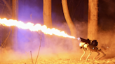 This terrifying flame-throwing robot dog can be yours for under $10k