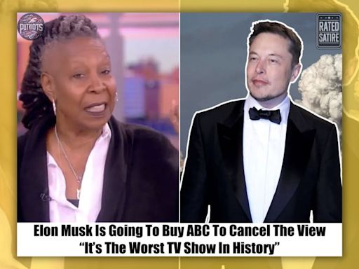 Fact Check: About the Claim that Elon Musk is Going to Buy ABC to Cancel 'The View'