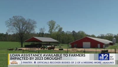 USDA issues disaster designation for all Mississippi counties