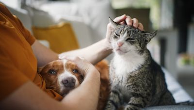 100,000 pet owners to lose insurance