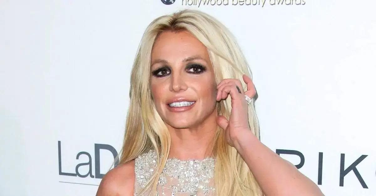 Britney Spears Is 'Completely Dysfunctional' as Singer's Mental Health and Poor Finances Put Her in 'Serious Danger': Source
