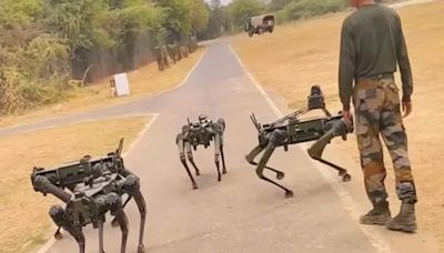 MULE Robot Dogs