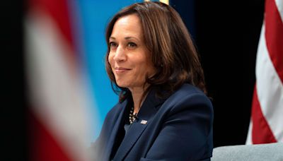 Kamala Harris soutenue par de nombreuses stars à la présidentielle américaine après le retrait de Joe Biden