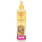 【蘇菲的美國小舖】Burt's Bees for dogs waterless shampoo 犬用蘋果蜂蜜乾洗潔膚水