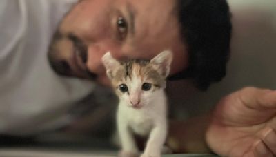 Randeep Hooda Reunites With Cat 'Mini Mee' After 4 Days Of Being Missing: 'Have Always Had Dogs But...' (PHOTOS)