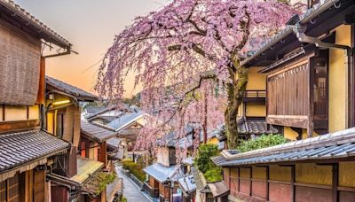 Here Is The Best Time To Visit Japan—According To Experts