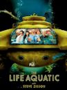 The Life Aquatic with Steve Zissou