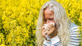 Expert shares simple tips to alleviate hay fever symptoms