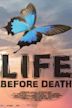 Life Before Death