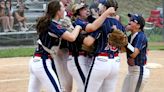 PIAA playoffs: DCC softball plays for state title