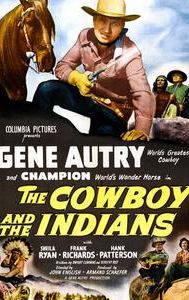 Cowboy and the Indians