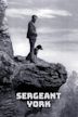 Sergeant York