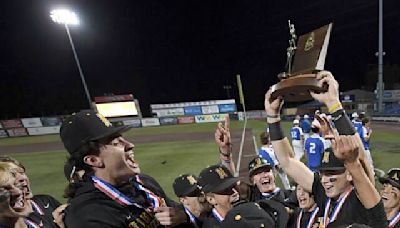North Allegheny’s David Posey turns tables, no-hits Mt. Lebanon for WPIAL Class 6A baseball title | Trib HSSN