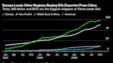 China’s EV Success Story Built on Price Wars, Tesla Factor