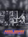 Ansel Adams: A Documentary Film