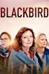 Blackbird – Eine Familiengeschichte