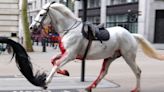 Horrific new video shows horse crash to ground during London rampage