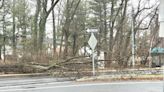 Fallen tree blocks all lanes of Georgia Avenue in Montgomery County