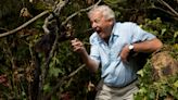 Mammals, review: Sir David Attenborough’s late-career golden era is a wonder to behold