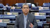 Unity minister condemns Dr Mahathir for disparaging non-Malays, says forefathers chose integration, not assimilation